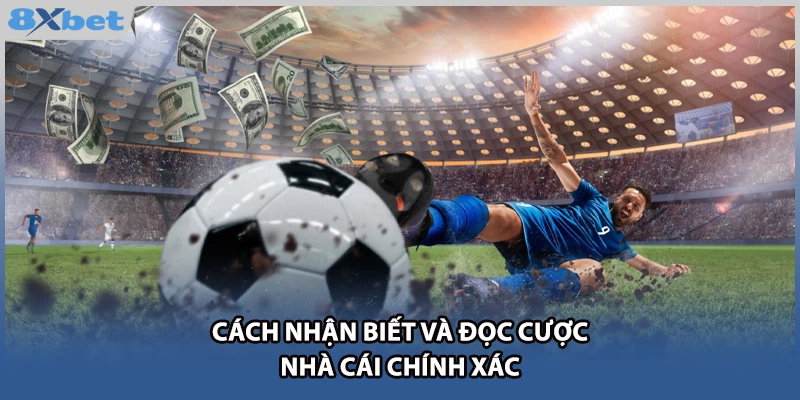 Cách nhận biết và đọc cược nhà cái chính xác