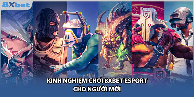 Kinh nghiệm chơi 8xbet esport cho người mới
