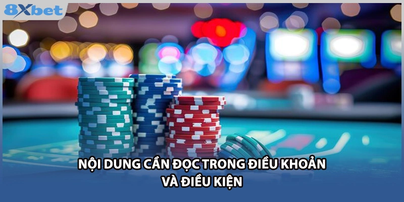 Nội dung cần đọc trong điều khoản và điều kiện 